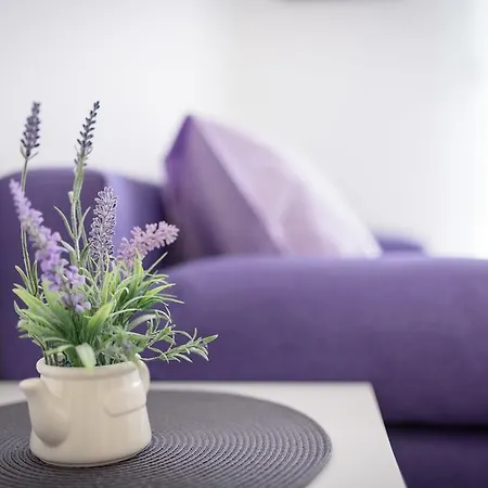 Studio Goga Trogir